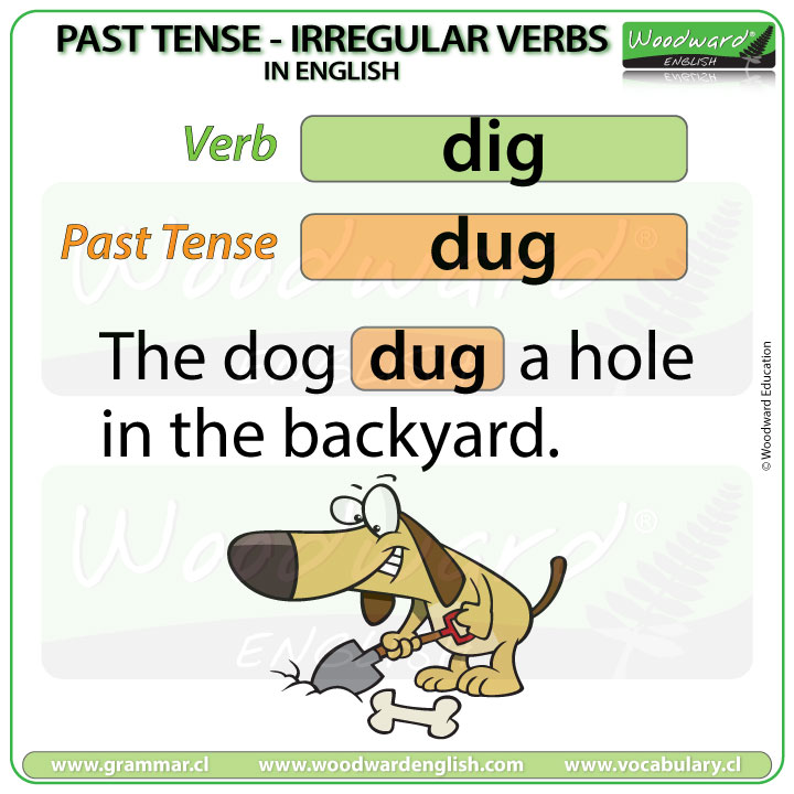 Past Tense of DIG in English