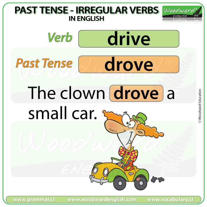 Past Tense of DRIVE in English with an example sentence