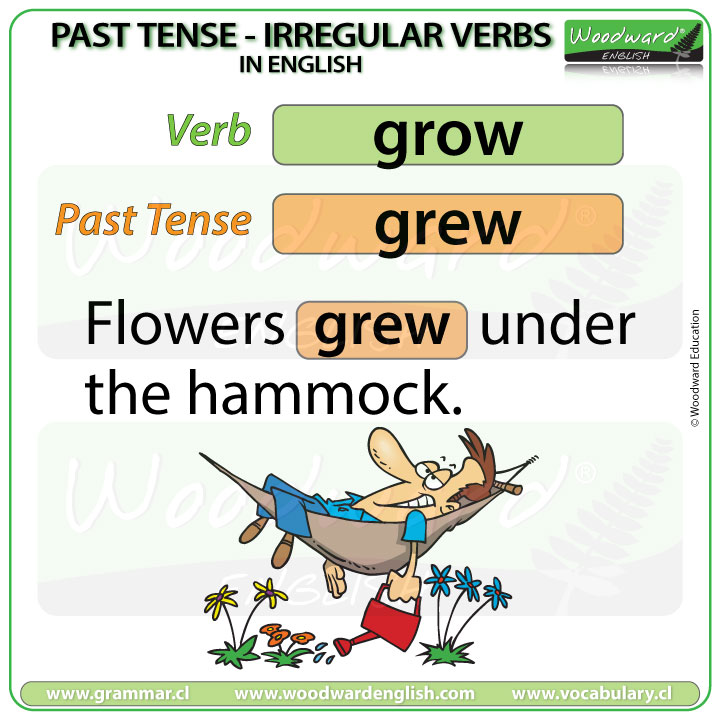 Past Tense of GROW in English with an example sentence