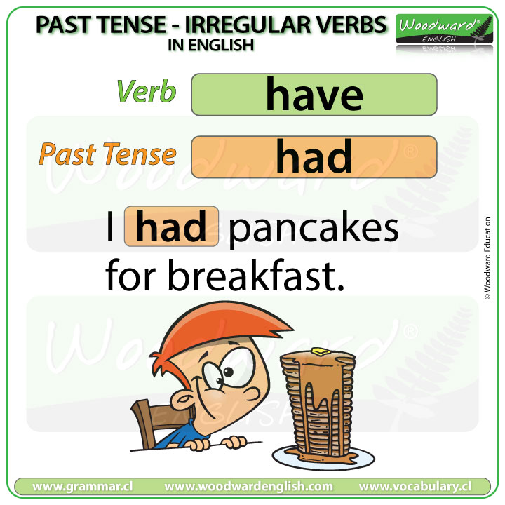 Past Tense of HAVE in English with an example sentence